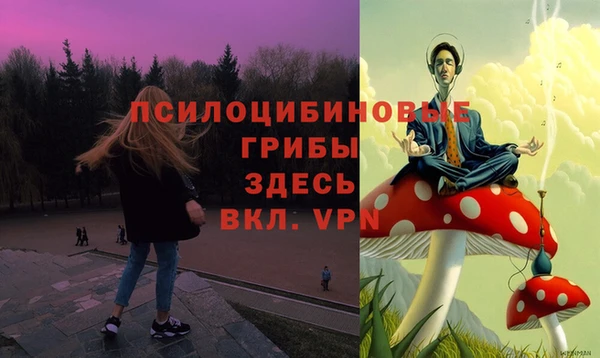 бошки Володарск