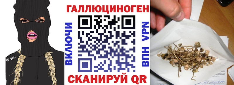 Псилоцибиновые грибы GOLDEN TEACHER  Купить  Армянск 